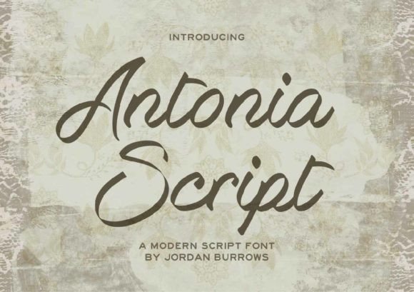 Antonia Script: A Stylish Font for Professional Branding