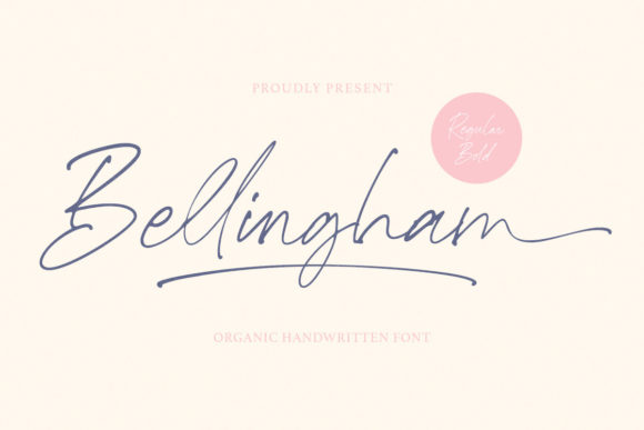 Bellingham Script: The Handwritten Typeface That Elevates Campaign Visuals