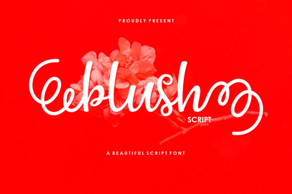 Blush Script: A Playful Font for Polished Branding