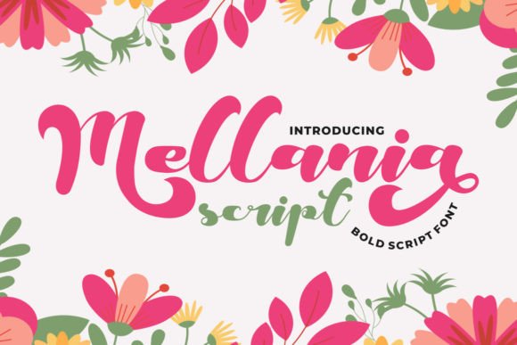 Mellania Script: A Bold and Cute Font for Web Design