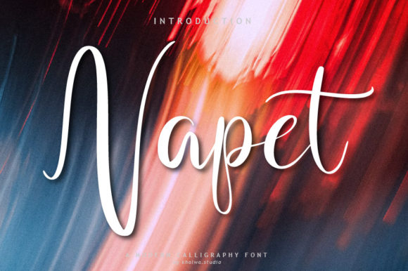 Napet Script: The Handwritten Typeface for Your Creative Shop