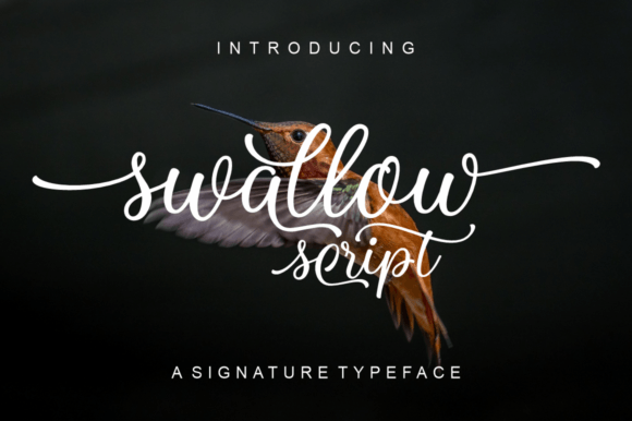 Swallow Script: A Professional Font for Small Business Branding
